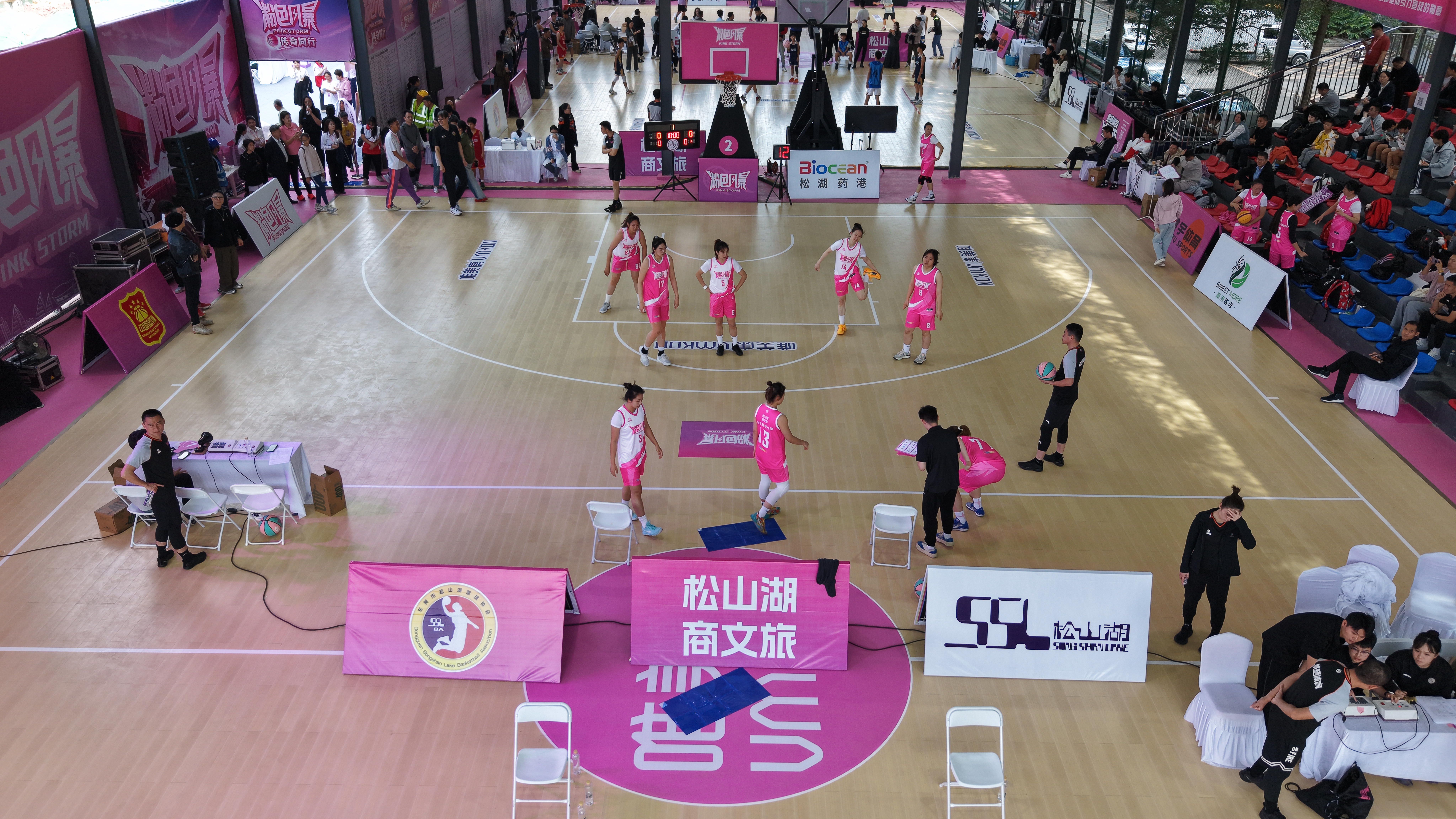 東莞松湖藥港 粉色風(fēng)暴全國(guó)女子籃球聯(lián)賽總決賽